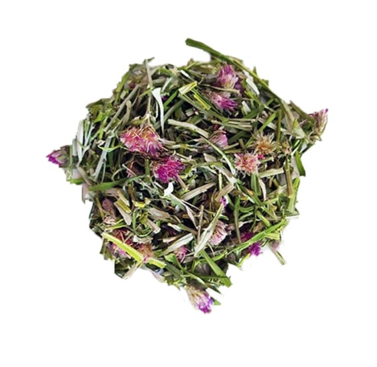 Saussurea Loosestrife-Extrakt in NEOflorax-Kapseln