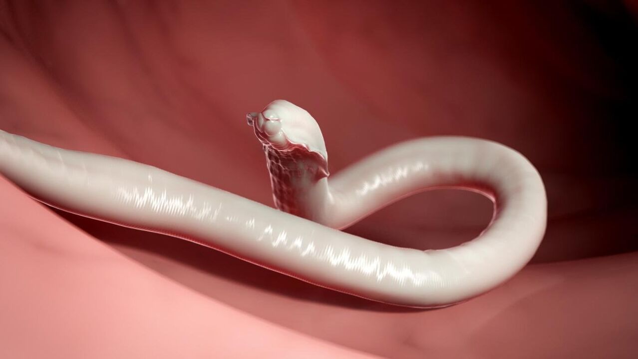 Wurmparasit des Menschen